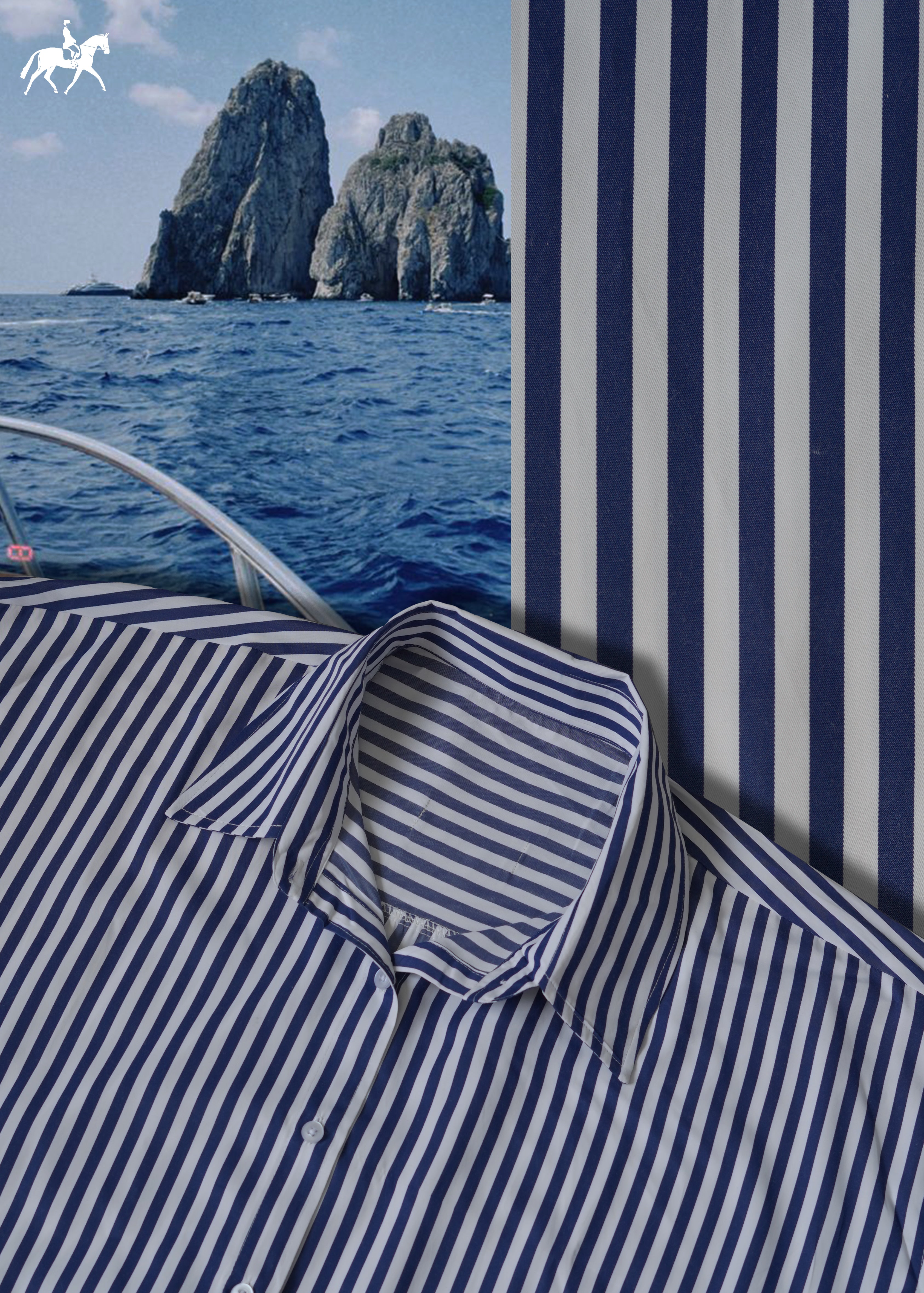 Blue Striped Shirt
